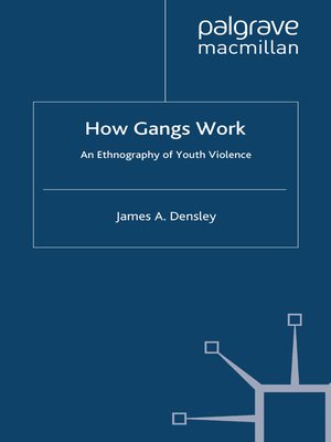 cover image of How Gangs Work